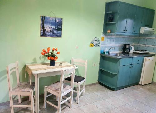 Кухня или мини-кухня в Dioskouroi Apts
