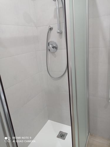 a shower with a glass door in a bathroom at Casafischea 21 in Moneglia