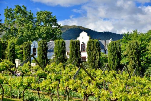 a house surrounded by trees and vines at Val Du Charron Wine & Leisure Estate in Wellington
