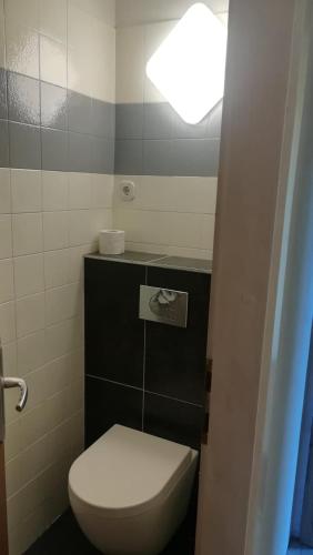 a bathroom with a toilet with a light above it at Pension Horvath in Sankt Kanzian