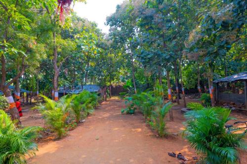Ein Garten an der Unterkunft Saptami Hampi Homestay