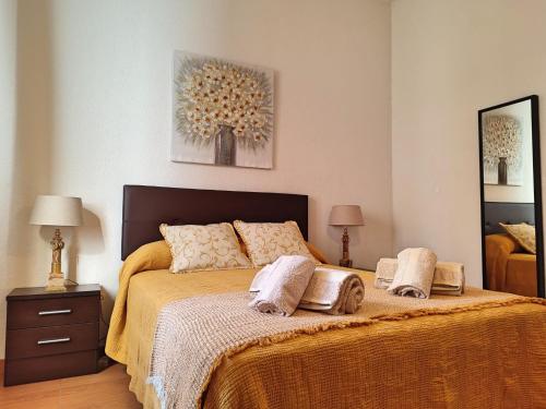 - une chambre avec un lit et 2 oreillers dans l'établissement Eduardo Lucena 5, Casco Histórico, à Cordoue