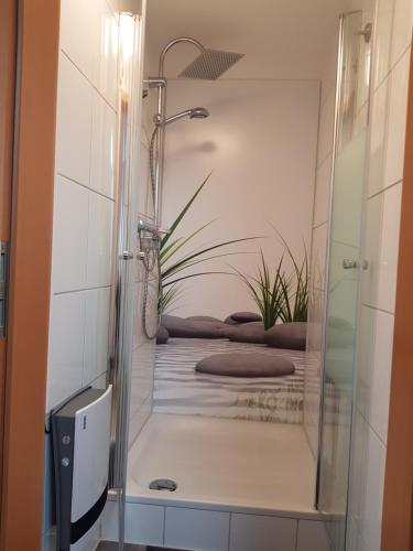 y baño con ducha y planta. en Haus Gerda, en Gersfeld
