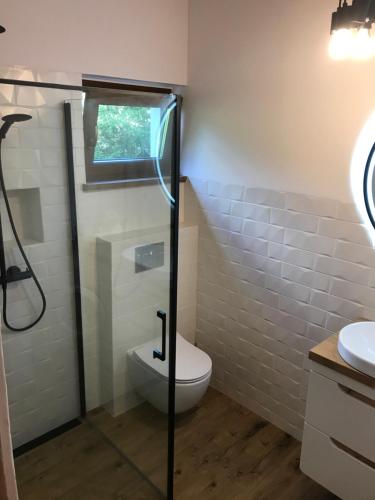 a bathroom with a toilet and a glass shower stall at MAJKÓWKA in Łąkie