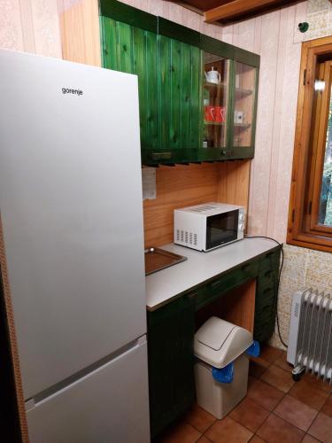 a kitchen with a refrigerator and a microwave at Chata Nika in Ružomberok