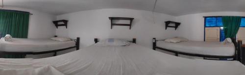 タガンガにあるhostal alquimistaのギャラリーの写真