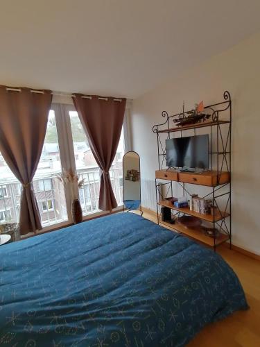 une chambre avec un lit bleu et une télévision dans l'établissement Ô Pied Marin, au Tréport