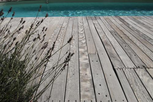 La Vela – Photos 4