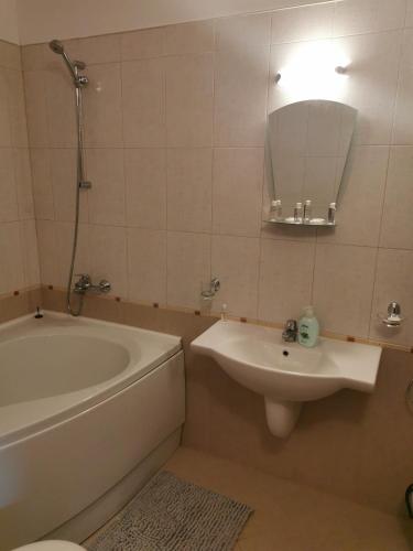a bathroom with a tub and a sink and a mirror at Na planina in Razlog