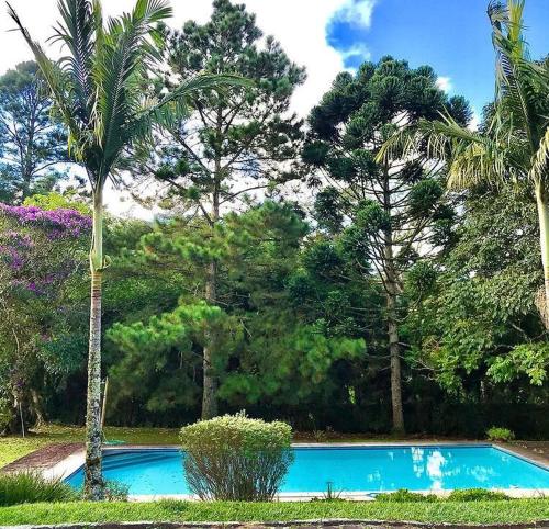 a blue swimming pool with palm trees in the background at Pinheiros do Rocio in Petrópolis