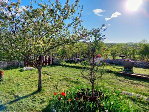 a garden with two trees and flowers in a yard at Vikendica Vlahić, Goranci in Mostar