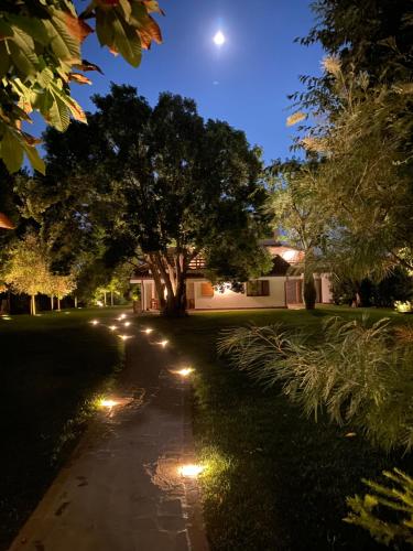 a driveway with lights in a yard at night at Seguire Le Botti - Agriturismo Cantina Sant'Andrea in Borgo Vodice