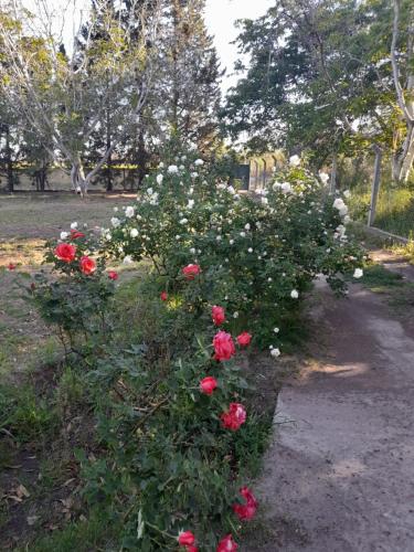 La casa de aminga – Photos 4