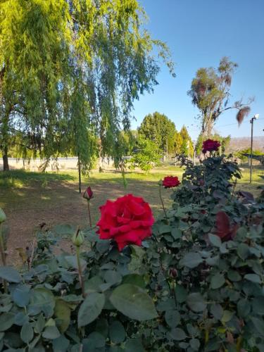 La casa de aminga – Photos 5
