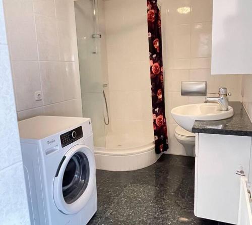 a washing machine in a bathroom with a sink at Cozy centrally located apartment in Reykjavik in Reykjavík