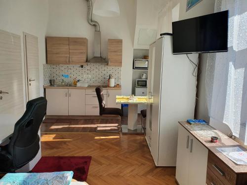 a small kitchen with a white refrigerator and a table at Apartments Fazarinc with parking, wellness and city store in the center of Celje in Celje