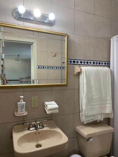 y baño con lavabo, aseo y espejo. en Casa Almar, en Tampico