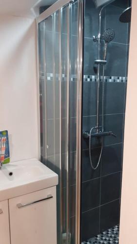 une salle de bain avec une douche avec une porte vitrée dans l'établissement Appartement Le Bonheur, à Pibrac