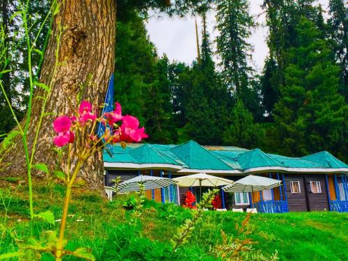 a building with umbrellas next to a tree at Pine View Resort in Gulmarg