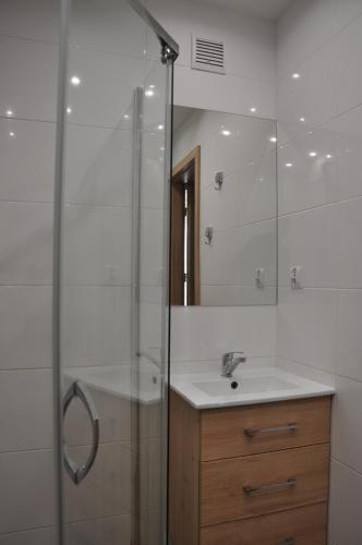 La salle de bains est pourvue d'une douche, d'un lavabo et d'un miroir. dans l'établissement ESEN Apartamenty Akademicka, à Białystok