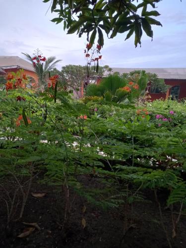 Un jardín fuera de B & B Mariamacounda