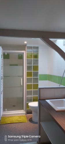 uma casa de banho com um chuveiro, um WC e um lavatório. em CHAMBRES D'HOTES SERMUS em Vézac
