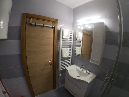 a bathroom with a sink and a shower and a mirror at Apartman Djole in Brzeće