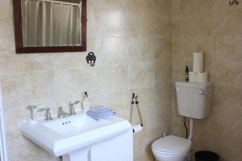 a bathroom with a sink and a toilet at Johnston House: Historic Village Retreat in Kinvara