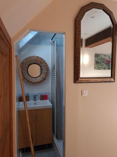a bathroom with a sink and a mirror at Apakabar Homestay - proche gare Melun, parking privé, Netflix in La Rochette