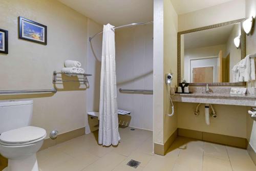富尔顿戴尔Comfort Suites Fultondale I-65 near I-22的配有马桶、水槽和淋浴的浴室