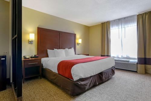 富尔顿戴尔Comfort Suites Fultondale I-65 near I-22的一间设有大床和窗户的酒店客房
