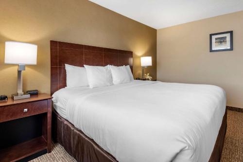 a large bed in a hotel room with two lamps at Comfort Inn & Suites Montpelier-Berlin in Montpelier