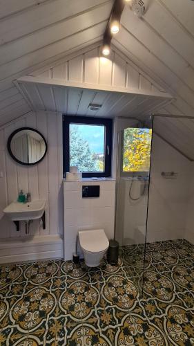łazienka z toaletą i umywalką w obiekcie Oberża pod Złotym Prosiakiem w mieście Nieborów