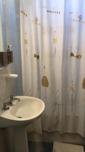 Un baño con lavabo y cortina de ducha. en Belgrano 9, en Salta