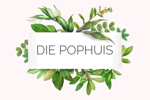 a sign that reads die pips with green leaves at Die Pophuis in Aberdeen