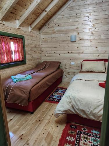two beds in a room with wooden walls at KOZAK Apartments & Restaurant in Mojkovac