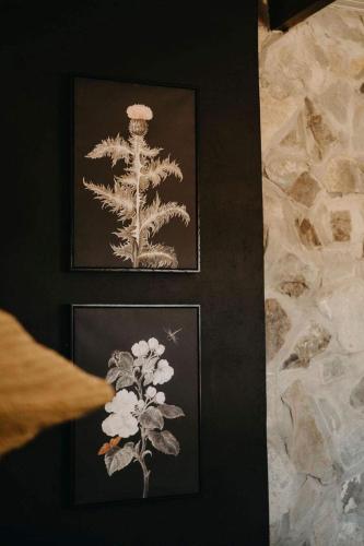 a person is pointing at a picture of a plant at Twyfelberg Karoo Hideaway in Britstown