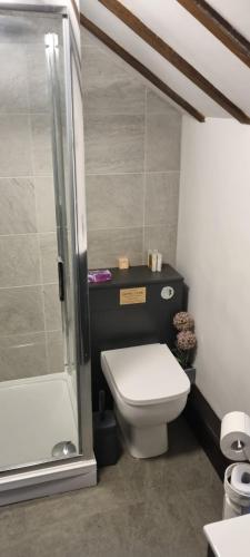 uma pequena casa de banho com WC e chuveiro em Denver Cottage em Monyash