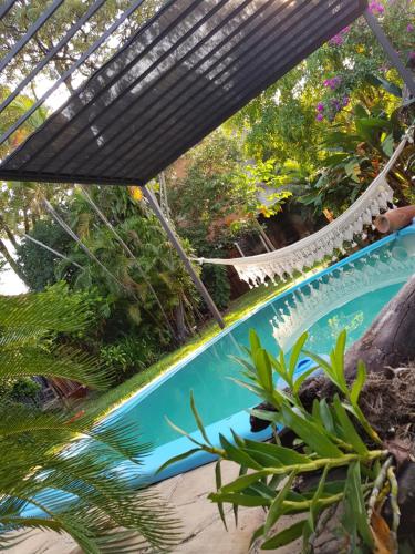 a hammock over a swimming pool in a garden at Nomada Hostel in Asuncion