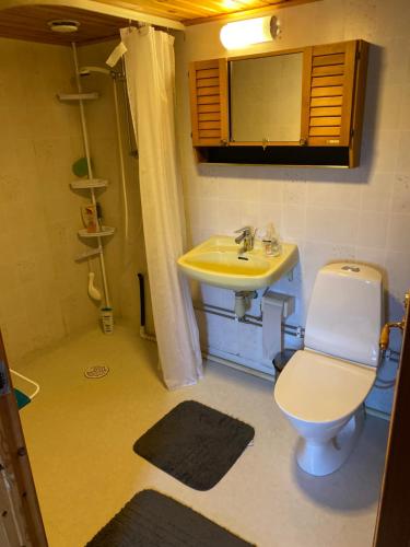 a bathroom with a toilet and a sink at Backen in Torsby