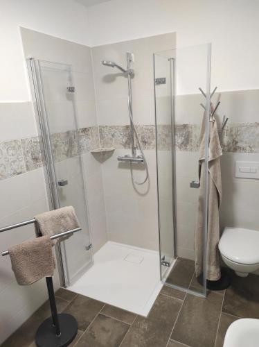 La salle de bains est pourvue d'une douche et de toilettes. dans l'établissement Exklusive Ferienwohnung im Einzeldenkmal, à Quedlinbourg