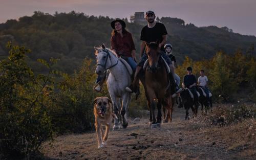 Hosté ubytování Lost Ridge Inn, Brewery & Ranch