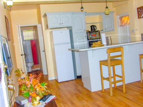 a kitchen with white cabinets and a white refrigerator at Amazon Villas in Soufrière