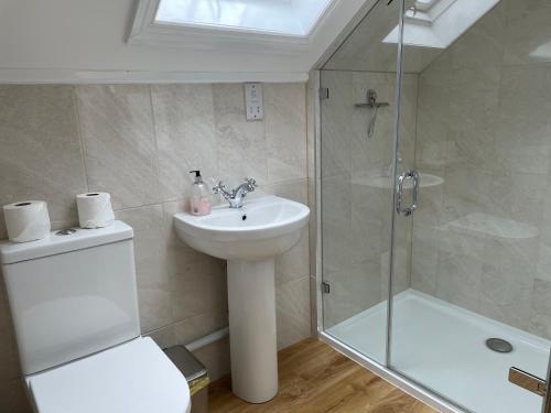 ein Badezimmer mit Waschbecken, Dusche und Toilette in der Unterkunft Cottages at Woodlands, Appleloft in Wareham