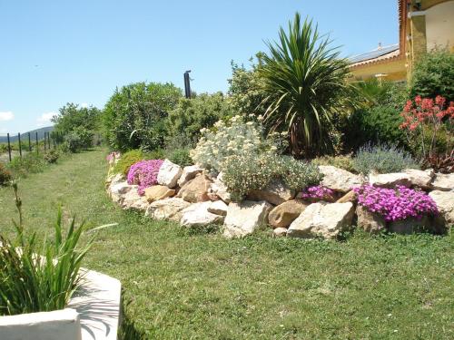 un jardín con rocas y flores en un patio en Cher Micheée et Bernard, en Camplong-dʼAude