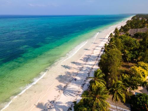 an aerial view of a beach with palm trees and the ocean at Mambo Paradise in Matemwe