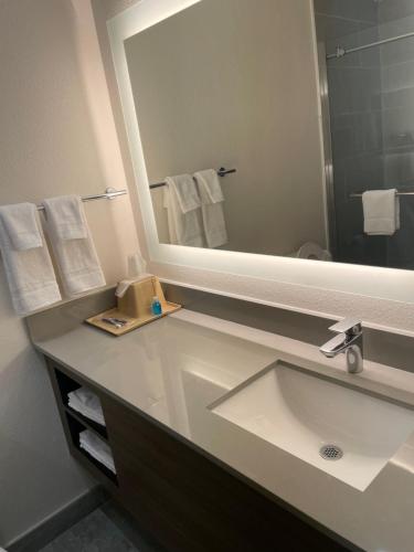 La salle de bains est pourvue d'un lavabo et d'un miroir. dans l'établissement Palace Inn Blue - Garth Rd, à Baytown