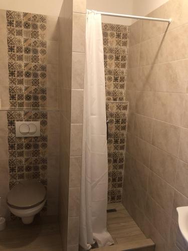a bathroom with a shower with a toilet and a shower curtain at Mosoly Szallashely in Szeged