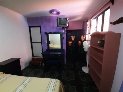 a bedroom with a bed and a mirror and a tv at Casa Xochimilco in Oaxaca City