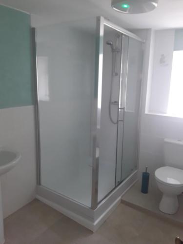 a bathroom with a shower and a toilet at Sharlands Farm Bed and Breakfast in Bude